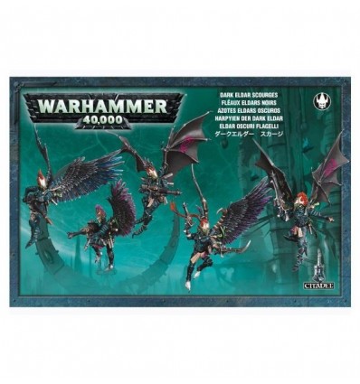 [Dark Eldar] Scourges