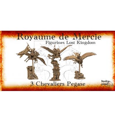 Bretonniens - Régiment de Chevaliers Pégase de la Mercie (3 figurines)