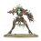 Warhammer AOS - Sylvaneth - Drycha Hamadreth