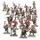 Warhammer AOS - Slaves to Darkness - Chaos Marauders 