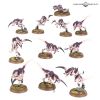 Tyranide V10 - Hormagaunts*