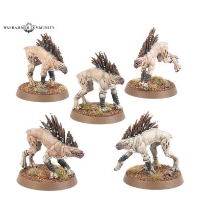 Empire T'au - CHIENS KROOTS