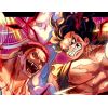 Draft One Piece - OP11 - Juillet 19h30