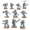 Space Wolves V10 - CHASSEURS GRIS*