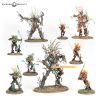 SYLVANETH: SYLVE DE FORTESOUCHE